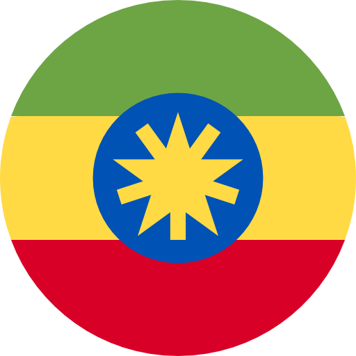 fee free send money to ethiopia