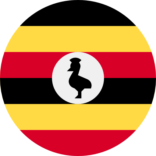 online send money Uganda